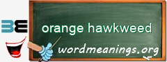 WordMeaning blackboard for orange hawkweed